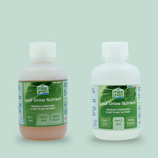 Leafy Grow 100ml