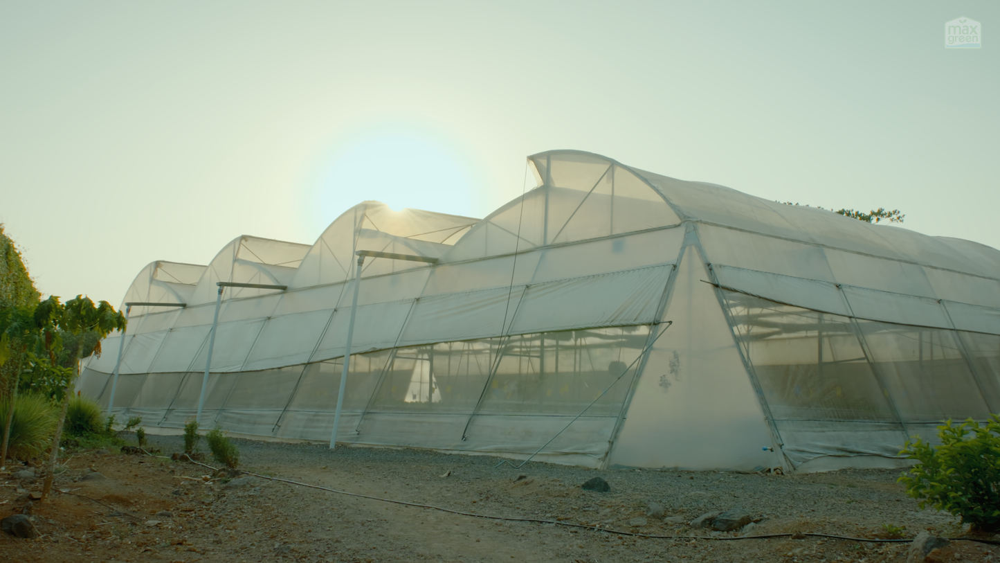 Advanced Hydroponics Farm Training | 2 Day Workshop in Karjat, Maharashtra
