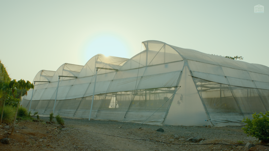 Advanced Hydroponics Farm Training | 2 Day Workshop in Karjat, Maharashtra