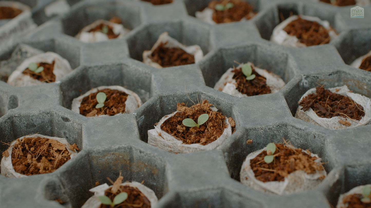 Advanced Hydroponics Farm Training | 2 Day Workshop in Karjat, Maharashtra