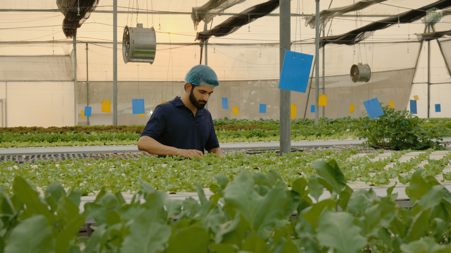 Advanced Hydroponics Farm Training | 2 Day Workshop in Karjat, Maharashtra