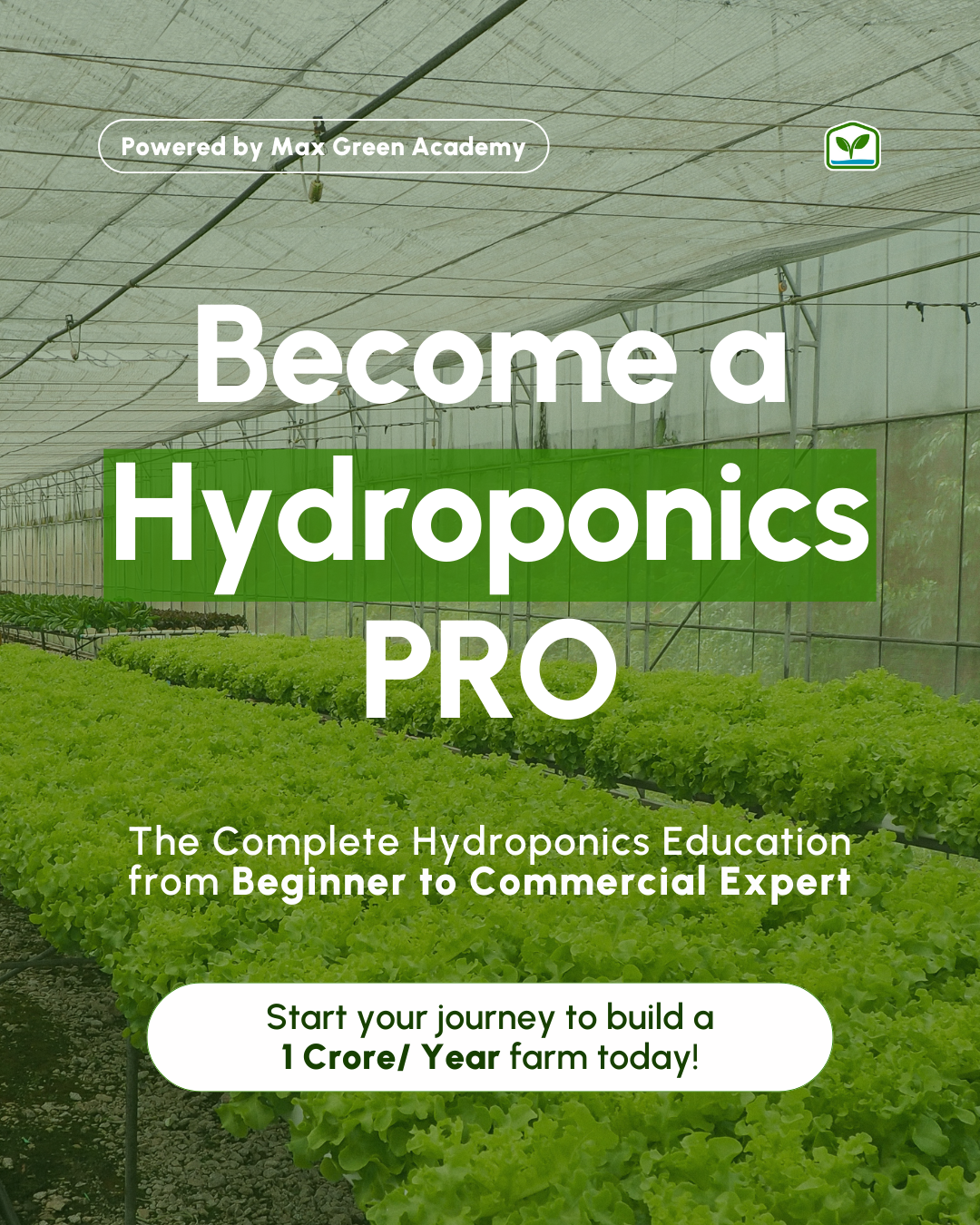 Pro Hydroponics Bundle - Get all Three Courses (26 Modules)