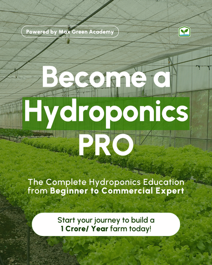 Pro Hydroponics Bundle - Get all Three Courses (26 Modules)