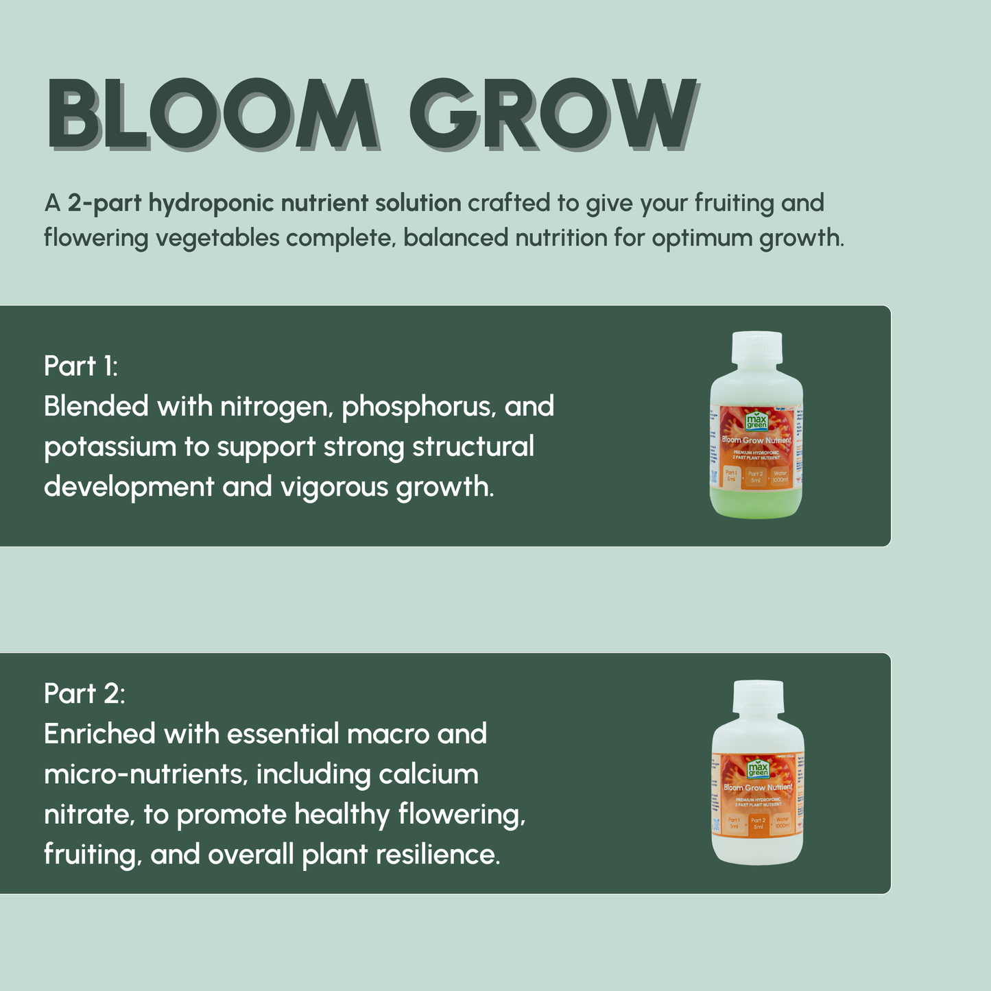 Bloom Grow 100ml