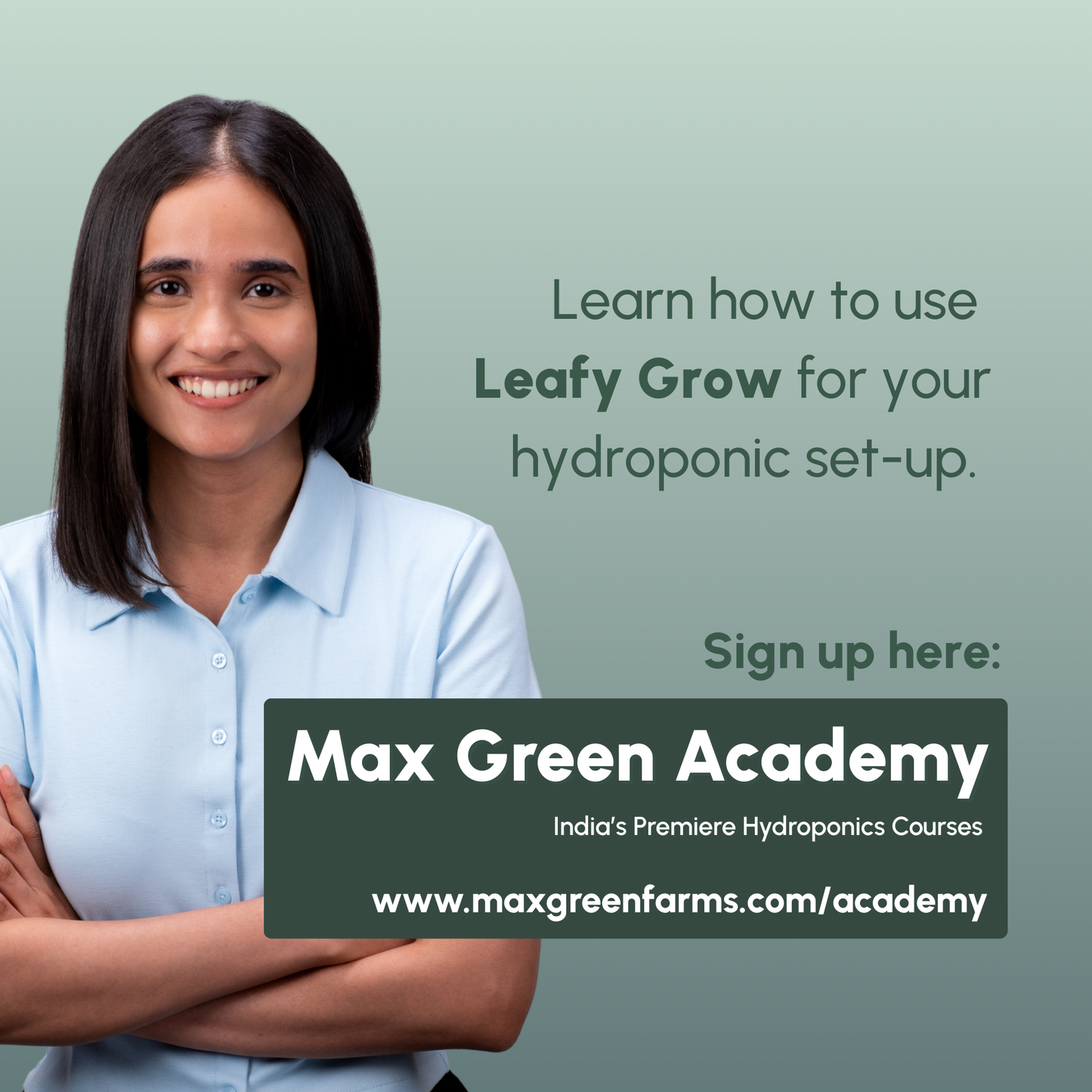 Leafy Grow 500ml