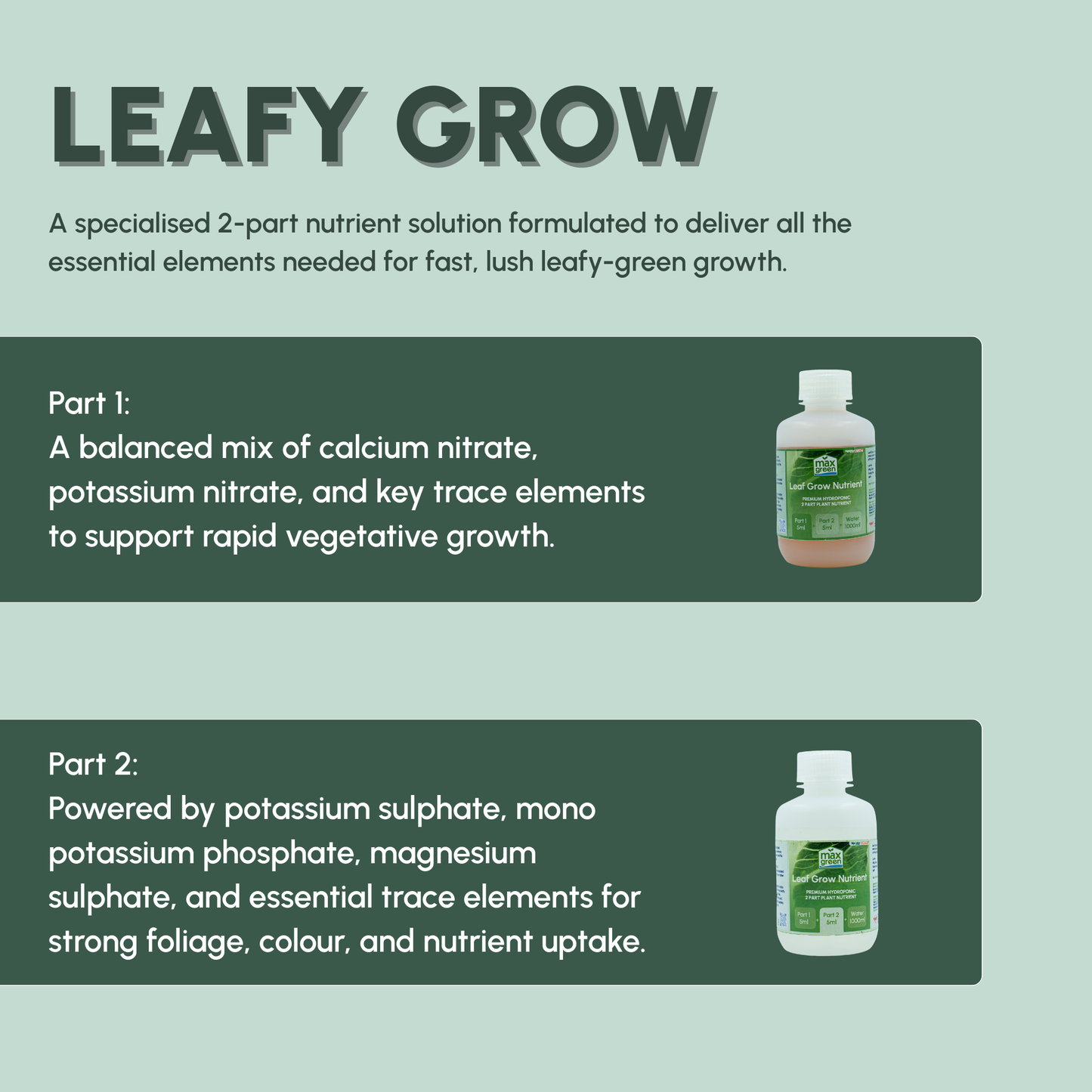 Leafy Grow 100ml