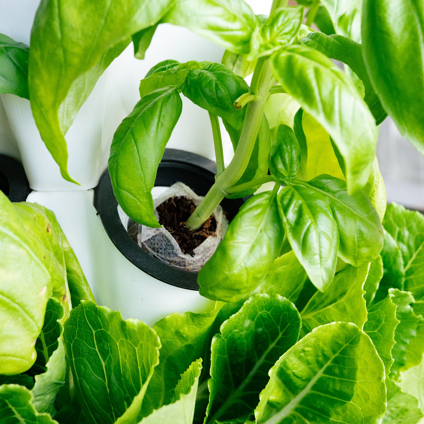 ProStack 40 | Home Hydroponics Grow Tower