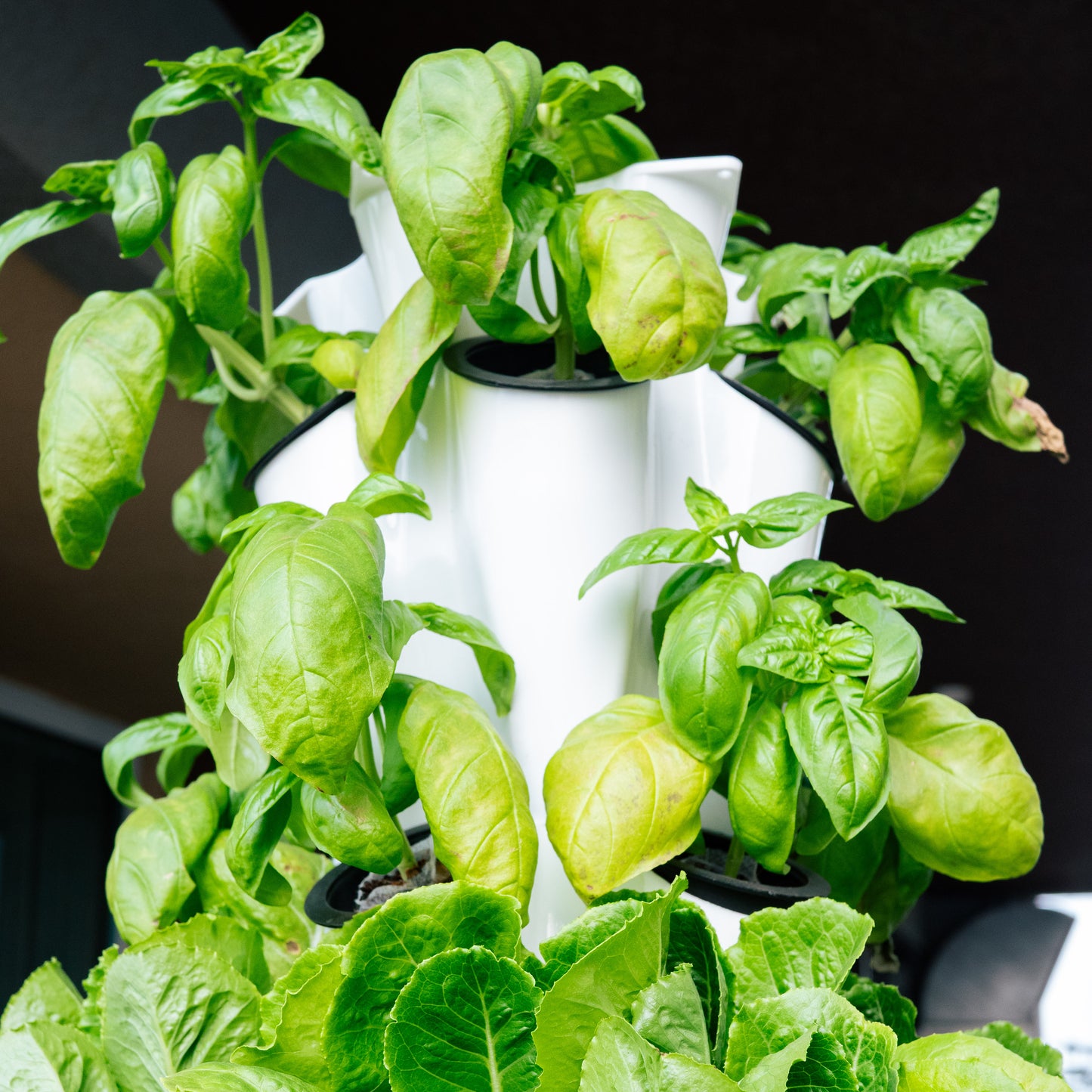 ProStack 40 | Home Hydroponics Grow Tower