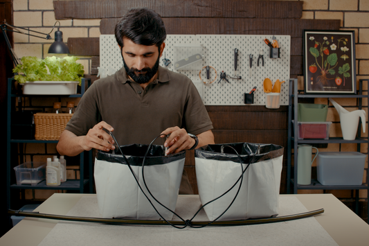 Home Grower's Guide to Hydroponics | 3 Hours | Online Course