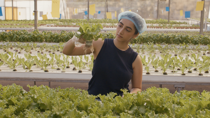Pro Hydroponics Bundle - Get all Three Courses (26 Modules)